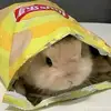Skylar Parker - @skylar.parker17 - TikTok