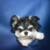 Skylar Parker - @skylar.parker33 - TikTok