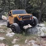 Skylar Patterson - @pc_panther37 - Instagram