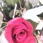 Skylar Phillips - @skylarphillips7148 - Instagram