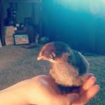 skylar tanner - @skylar_tanner12345 - Instagram