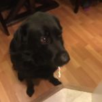 Skylar Walsh - @skylar__walsh - Instagram