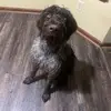 skylar.warren0 - @skylar.warren0 - TikTok