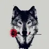 Skylar Wolf - @skylarwolf335 - TikTok