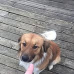 Skyler Blanton - Facebook
