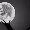 Skylerbloom - @fomeogodo - TikTok