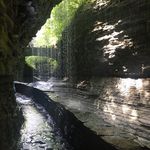Skyler Bruno - @skyler742 - Instagram