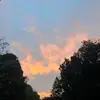 Skyler🌅 - @skylercolwell5 - TikTok