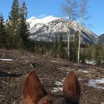 Skyler Cook - @skylersphotography2022 - Instagram