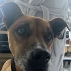 Skyla Dudley - Facebook