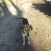Skyler Gregory - Facebook