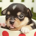 skyler holder - @skylerhold - Instagram