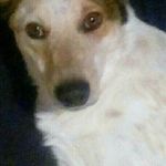 skyler.laney - @skyler.laney4 - Instagram