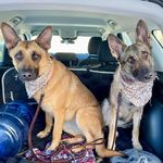 Skyler Marie and Oakley May - @the_east_pups - Instagram