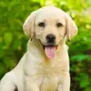 Skyler_Richards__ - @skyler_richards__ - TikTok