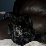 skyler sanchez - @skyler2009ms - Instagram