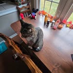 Skyler Barry-Schmidt - @skyler_barrys - Instagram