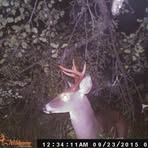 Skyler Sprague - Facebook