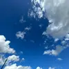 S K Y L E R - @skylertaylor.11 - TikTok