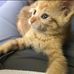 Skyler West - Facebook