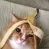 slade_ - @slade__chill - TikTok