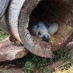 Sloan Thompson - @sloanythompson - Instagram