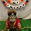 Sly James The Cat - @slyjamesthecat - TikTok