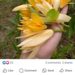 Smita Kaviskar - Facebook
