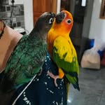 Smitha Joseph - @smit_hajoseph - Instagram