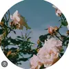 snehamathew389 - @sneha.mathew7 - TikTok