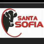 Alimentos Santa Sofia - @carnes_santa_sofia - Instagram