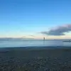 dulce - @sofia.colemann - TikTok