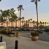 sofia_espositooooo - @sofia_espositooooo - TikTok