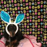 Sofia Falcone - @sofia_falcone21 - Instagram