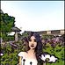 Sofia Harrison - Facebook
