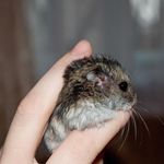 sofia haynes - @haynes7395ozxb - Instagram