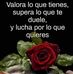Sofia Hernández - Facebook
