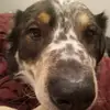 Sophia Messer - @sophia.messer - TikTok