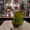 sofia_nunes - @sofia_nunes - TikTok