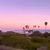 aurora - @sofiasofi.orosio - TikTok