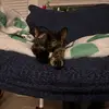 Sofia.Wagner - @sofia.wagner20 - TikTok