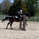 Sofia Walsh - @sgw.equestrian - Instagram