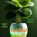 Sohail Khalid - @sohailkhalid1274 - Instagram