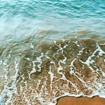 Sohani Rao - @sohanirao - Instagram