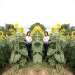 Sok Sin - @rasin_sok - Instagram
