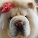 Sok Tan - @soktan.soktan - Instagram