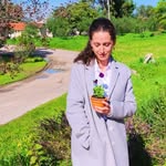 Reut Sol Cohen - @reut.s.cohen - Instagram