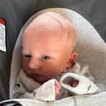 @noahsolomonshapiro - Instagram