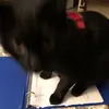 Solly - @solly.shapiro - TikTok