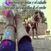 Sol White - Facebook